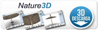 Simulador de parasoles SUNBRETA® - Sombrillas de brezo / Nature 3D